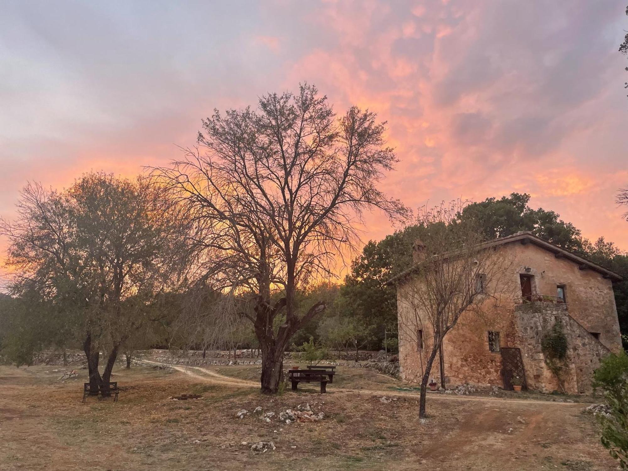 Agriturismo Il Caggio Sovicille Eksteriør bilde
